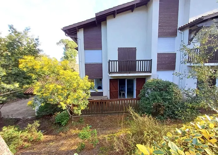 Charming Quiet Flat In * ארסשון