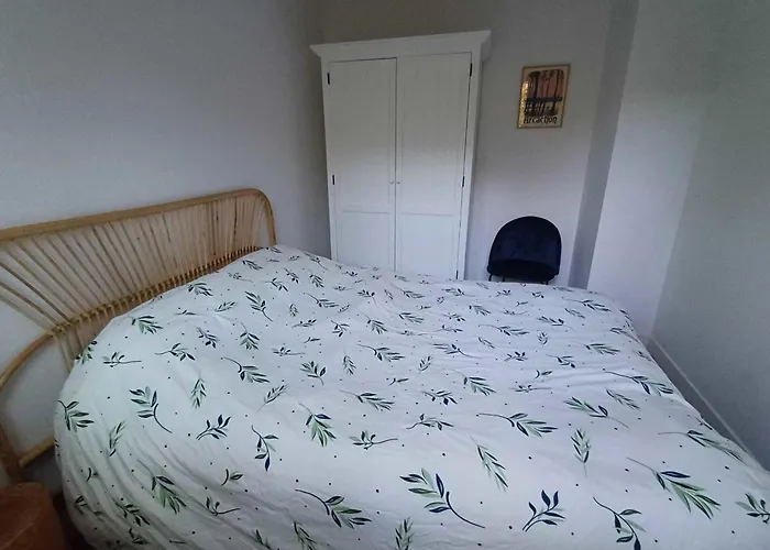 Charming Quiet Flat In * Arcachon